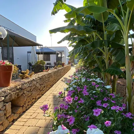 Fellini Bed & Breakfast 3*