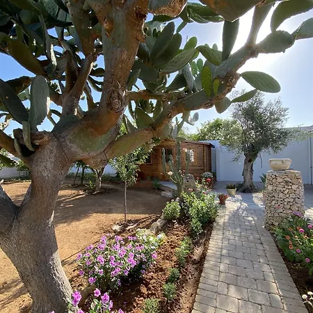 Fellini Bed & Breakfast 3*