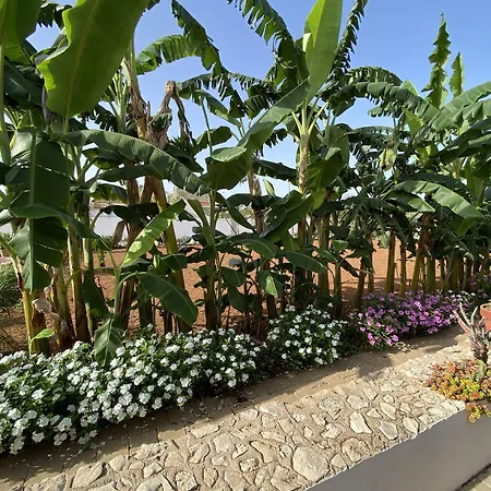 Fellini Bed & Breakfast Gallipoli