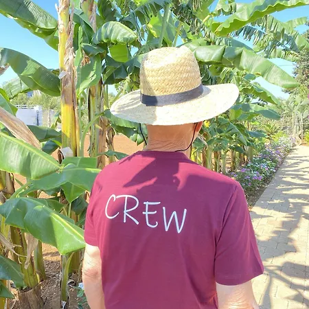 Fellini 3* Gallipoli