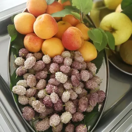 Bed & Breakfast Fellini 3*