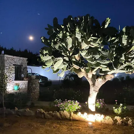 Fellini 3* Gallipoli