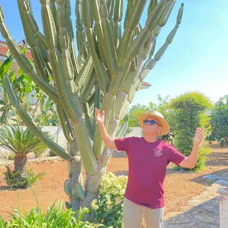 Fellini Bed & Breakfast