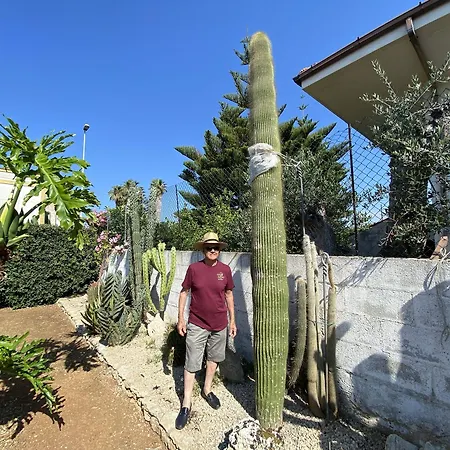 Fellini 3* Gallipolli