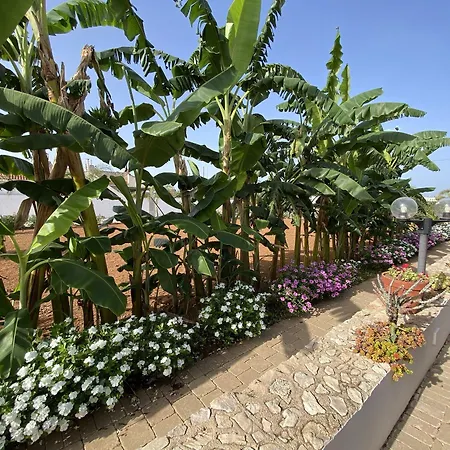 فندق مبيت وإفطار Fellini 3*
