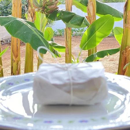 Fellini Bed & Breakfast 3*