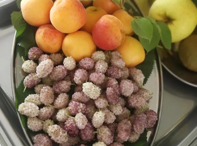 Готель типу 