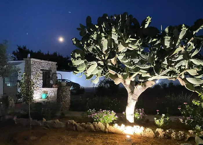 Fellini 3* Галліполі