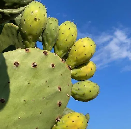 Готель типу 