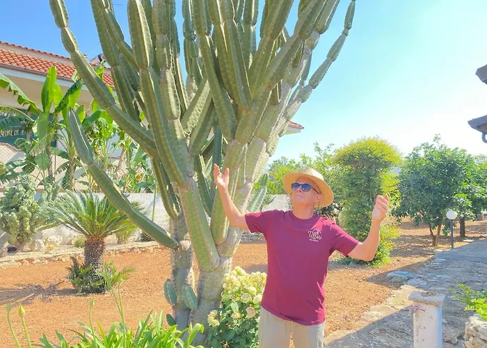 Fellini Bed & Breakfast