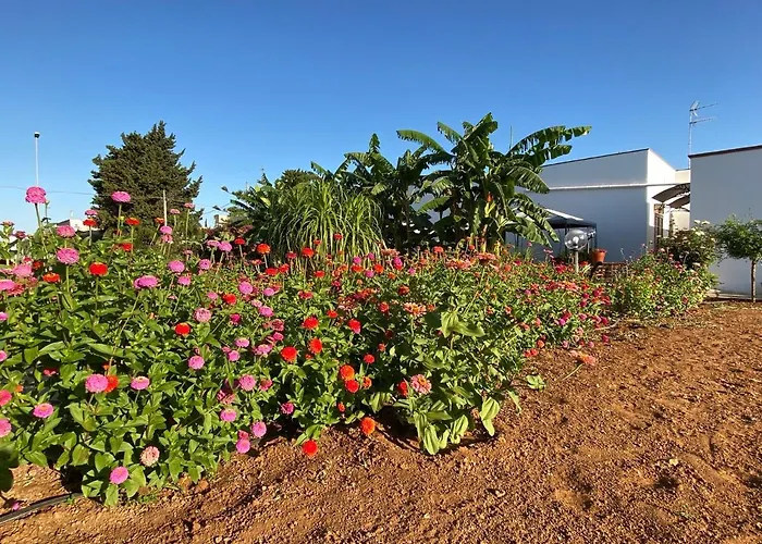 Bed & Breakfast Fellini