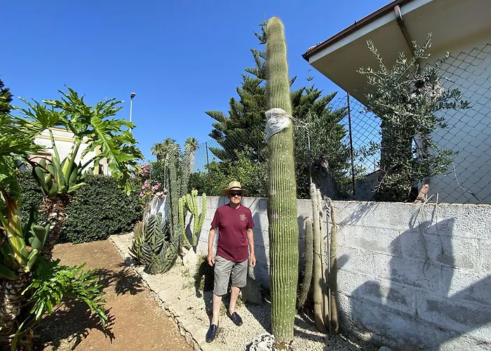 Fellini 3* Галліполі