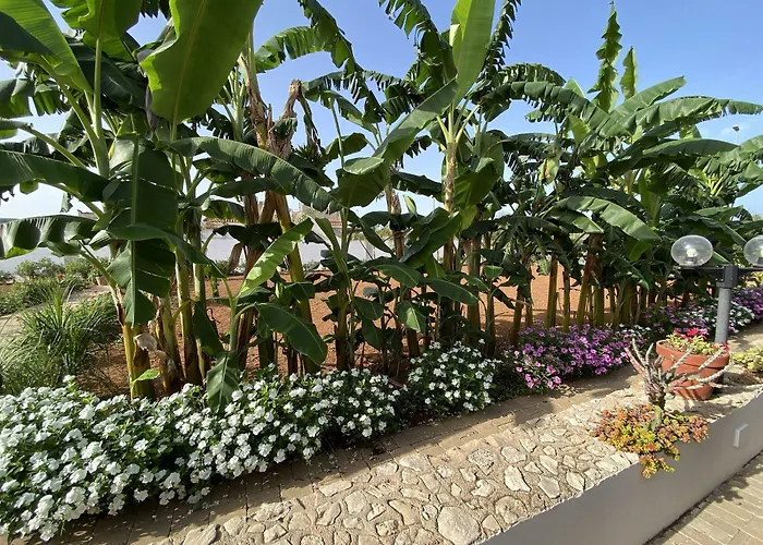 Fellini Готель типу 