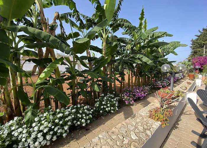 Готель типу 