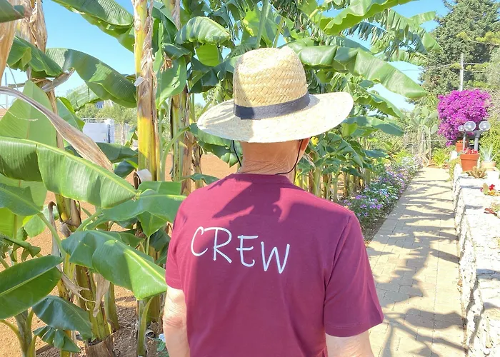 Fellini 3* Галліполі